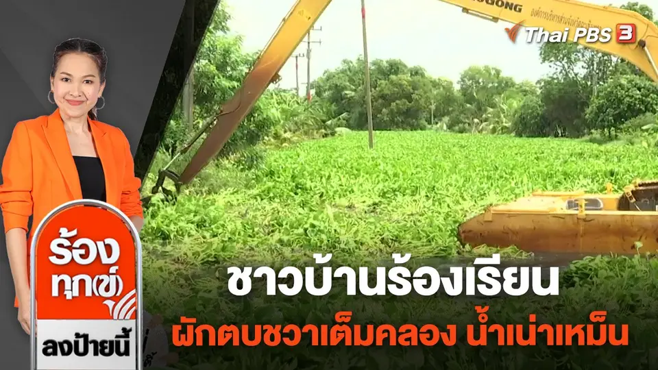 ชาวบ้านร้องเรียนผักตบชวาเต็มคลอง น้ำเน่าเหม็น จ.ฉะเชิงเทรา