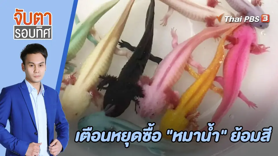 จับตารอบทิศ