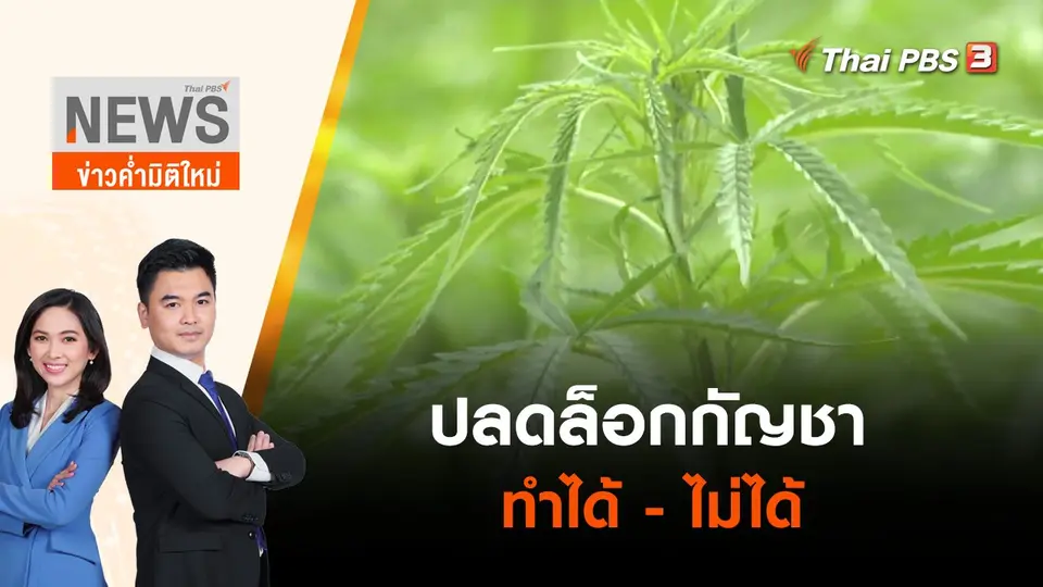"ปลดล็อกกัญชา" ทำได้ - ไม่ได้ | ข่าวค่ำมิติใหม่ | 8 มิ.ย. 65
