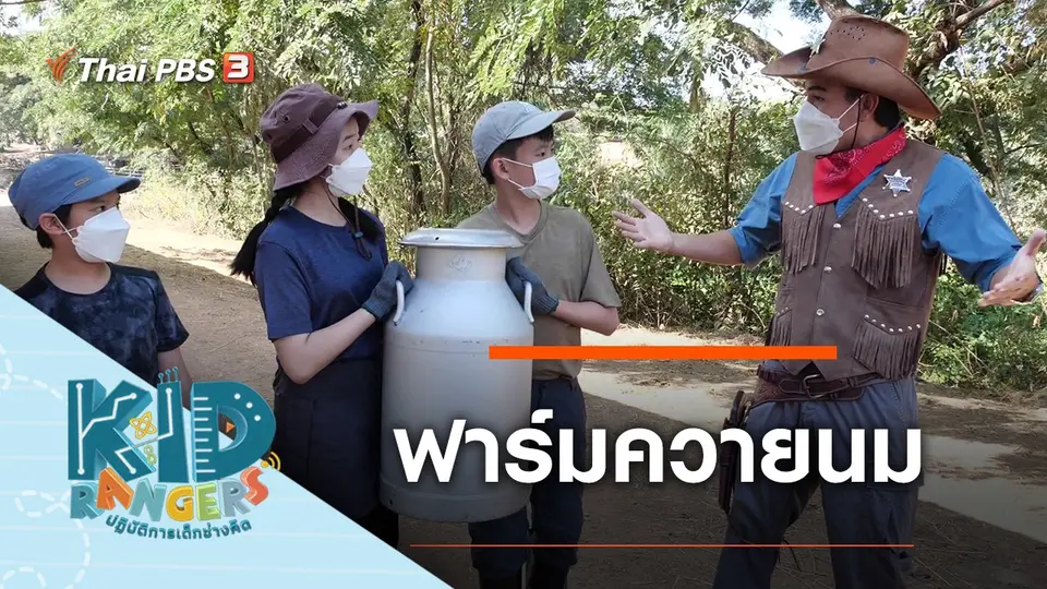 ฟาร์มควายนม