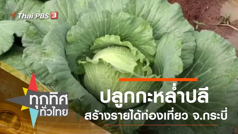 ทุกทิศทั่วไทย