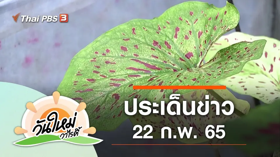 วันใหม่วาไรตี้