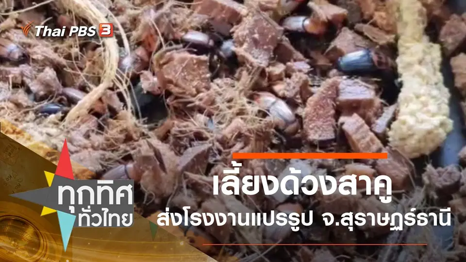 ทุกทิศทั่วไทย