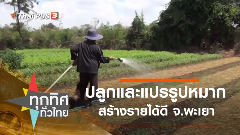 ทุกทิศทั่วไทย