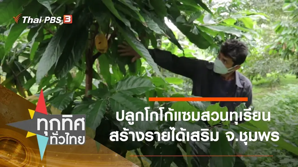 ทุกทิศทั่วไทย