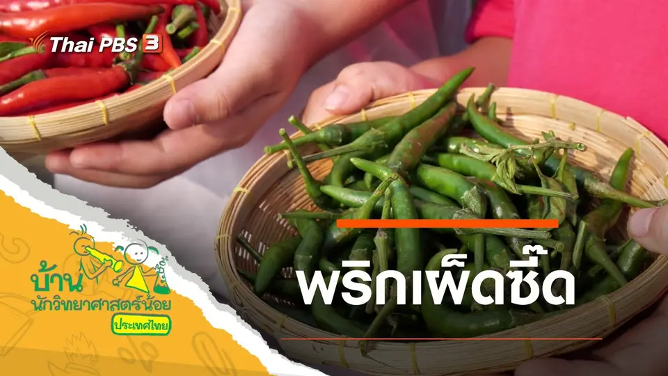 พริกเผ็ดซี๊ด