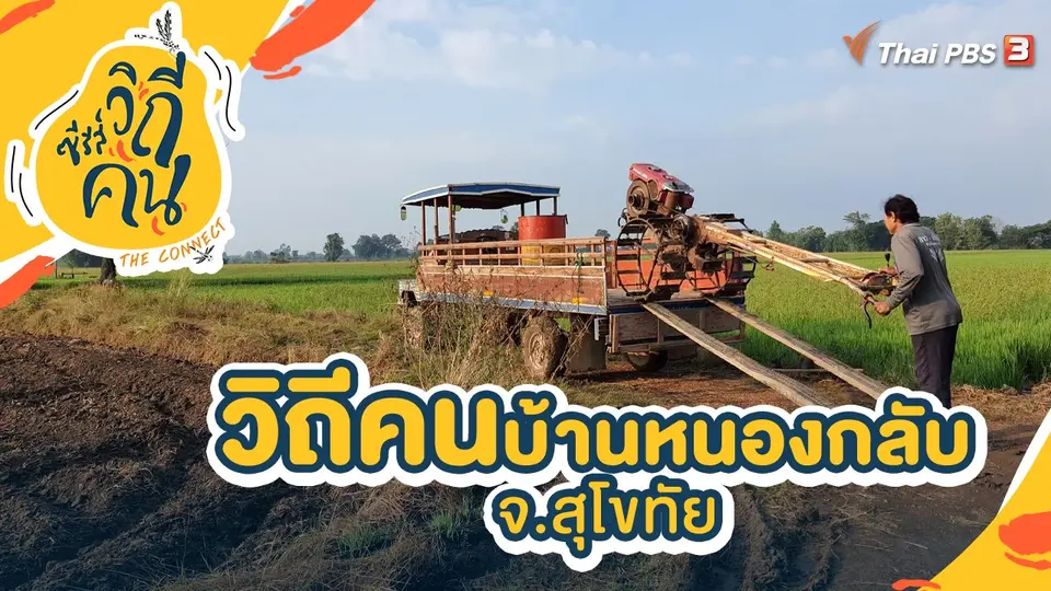 ซีรีส์วิถีคน