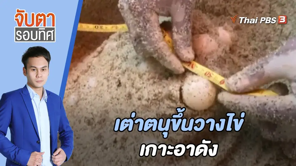 จับตารอบทิศ