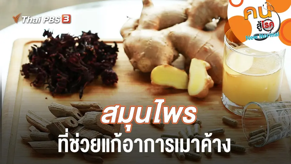 สมุนไพรที่ช่วยแก้อาการเมาค้าง