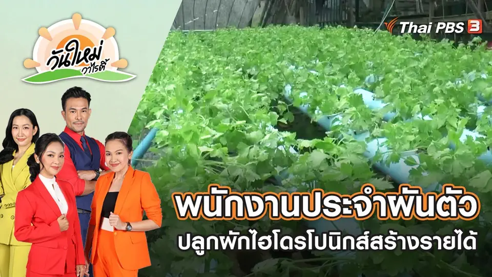 พนักงานประจำผันตัวปลูกผักไฮโดรโปนิกส์สร้างรายได้ | วันใหม่วาไรตี้ | 5 ก.ค. 65