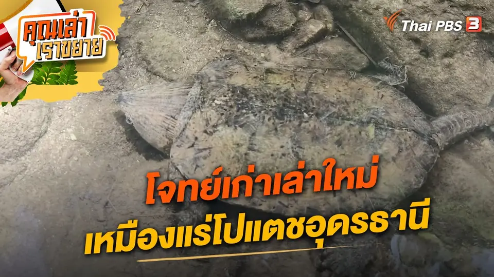 คุณเล่า เราขยาย