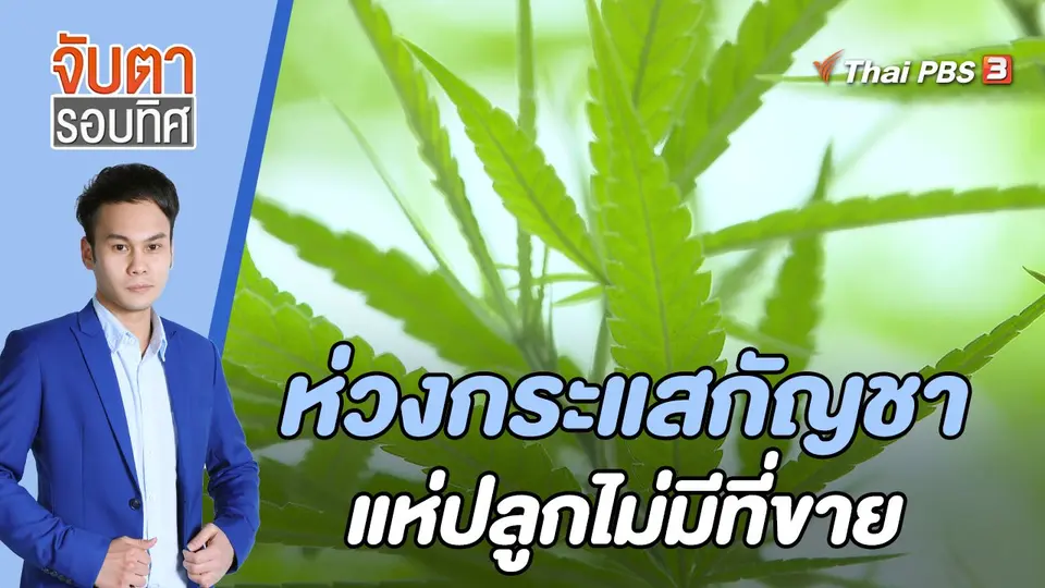 จับตารอบทิศ