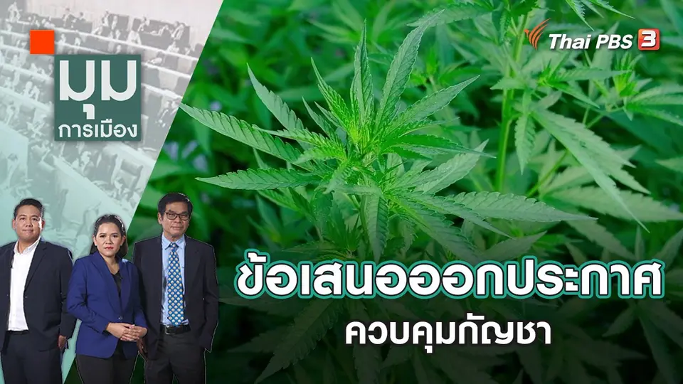 มุมการเมือง