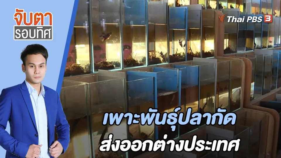 จับตารอบทิศ