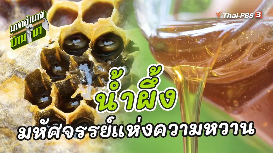 น้ำผึ้ง มหัศจรรย์แห่งความหวาน
