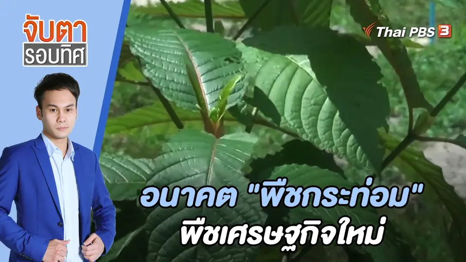 จับตารอบทิศ