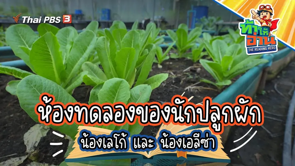 ห้องทดลองของนักปลูกผัก : น้องเลโก้ และ น้องเอลีซ่า