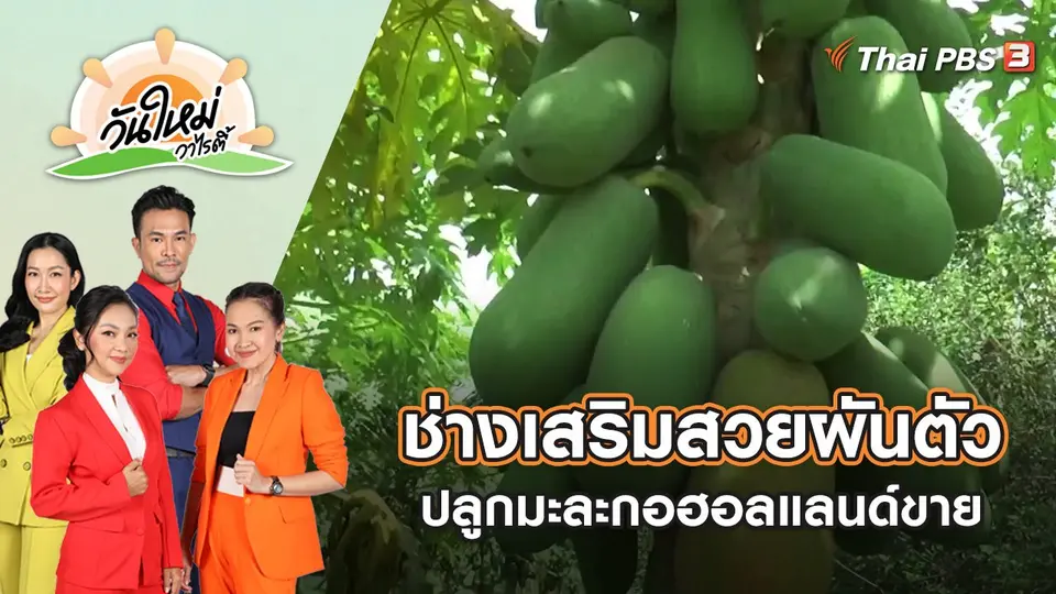 วันใหม่วาไรตี้