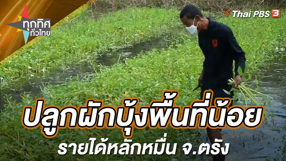 ทุกทิศทั่วไทย