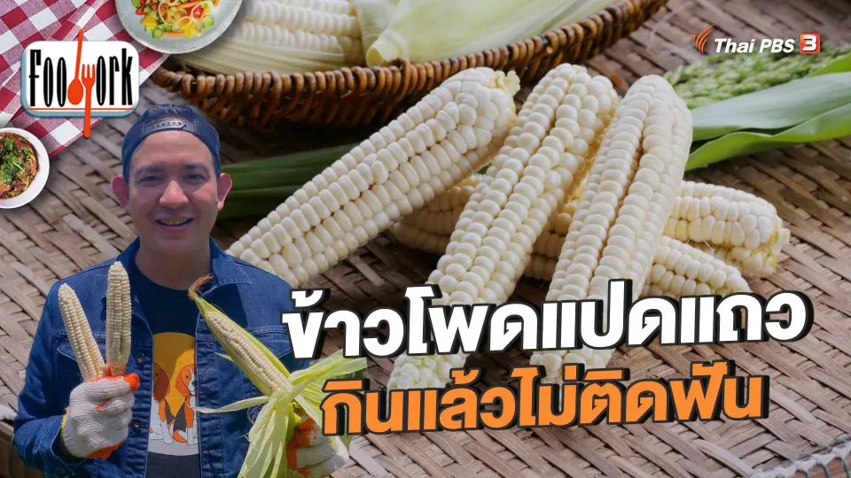 ข้าวโพดแปดแถว