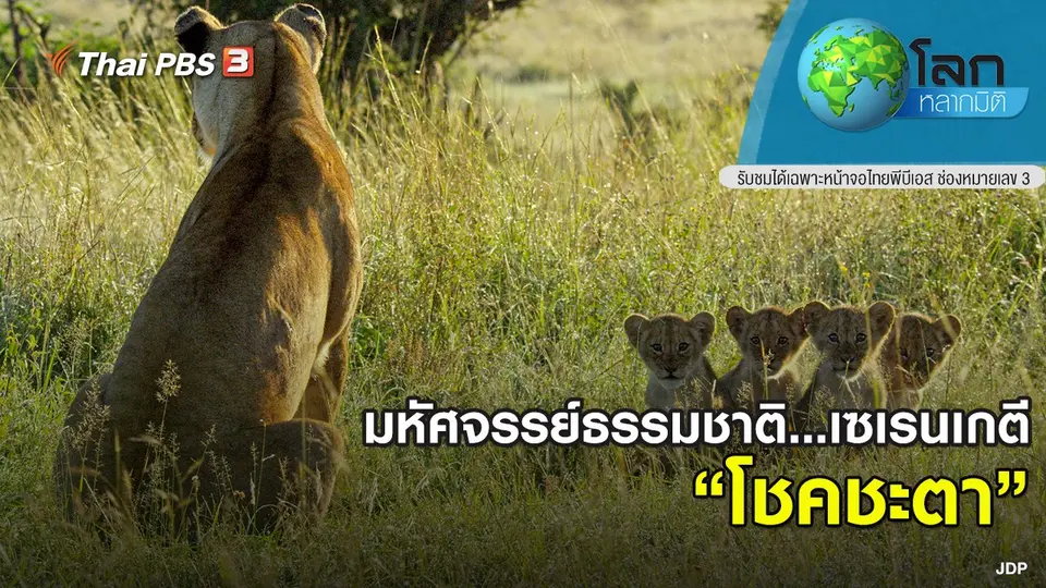 โลกหลากมิติ