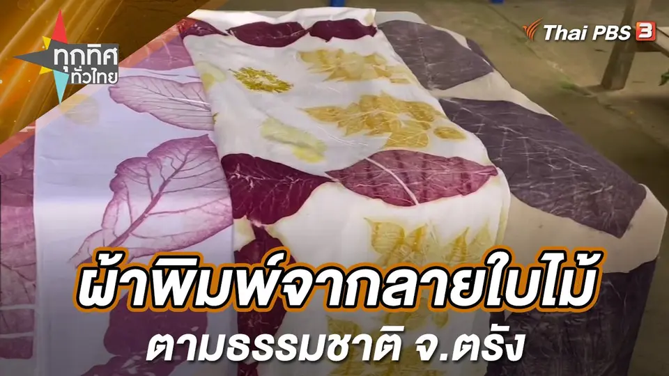 ทุกทิศทั่วไทย