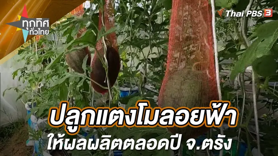 ทุกทิศทั่วไทย