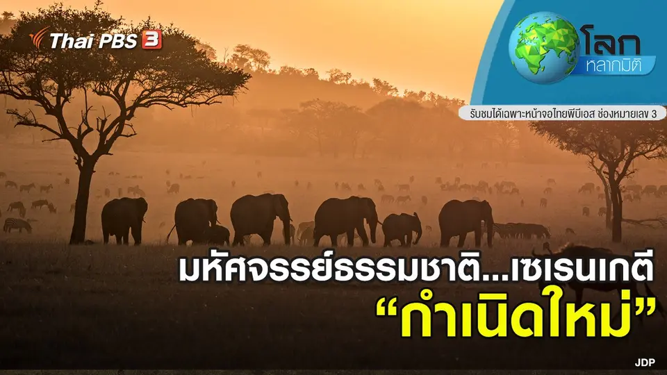 โลกหลากมิติ