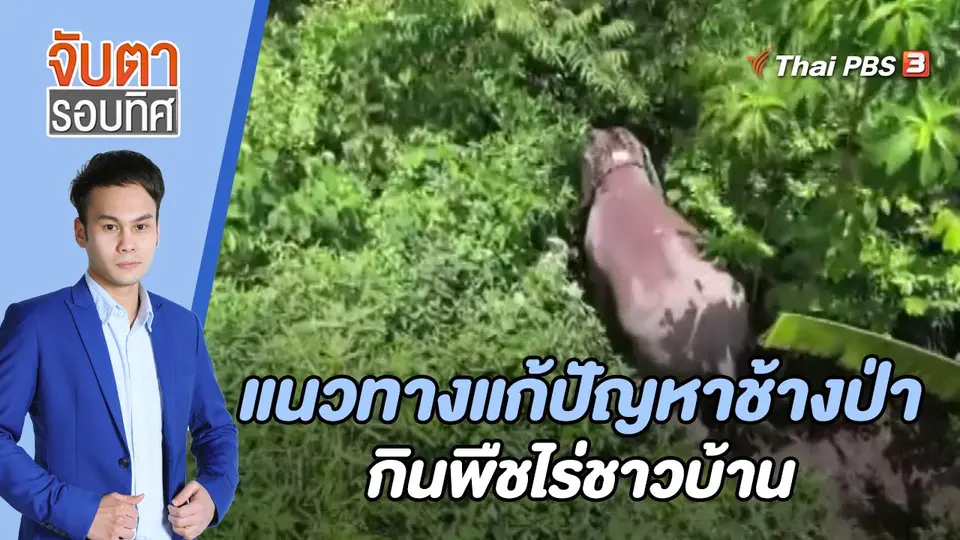จับตารอบทิศ