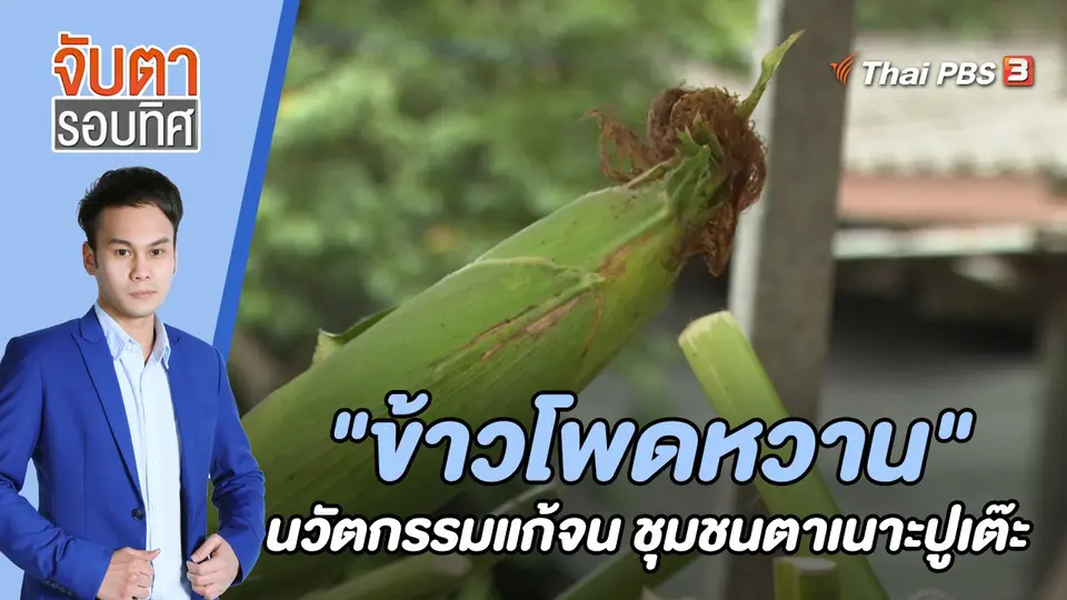 จับตารอบทิศ