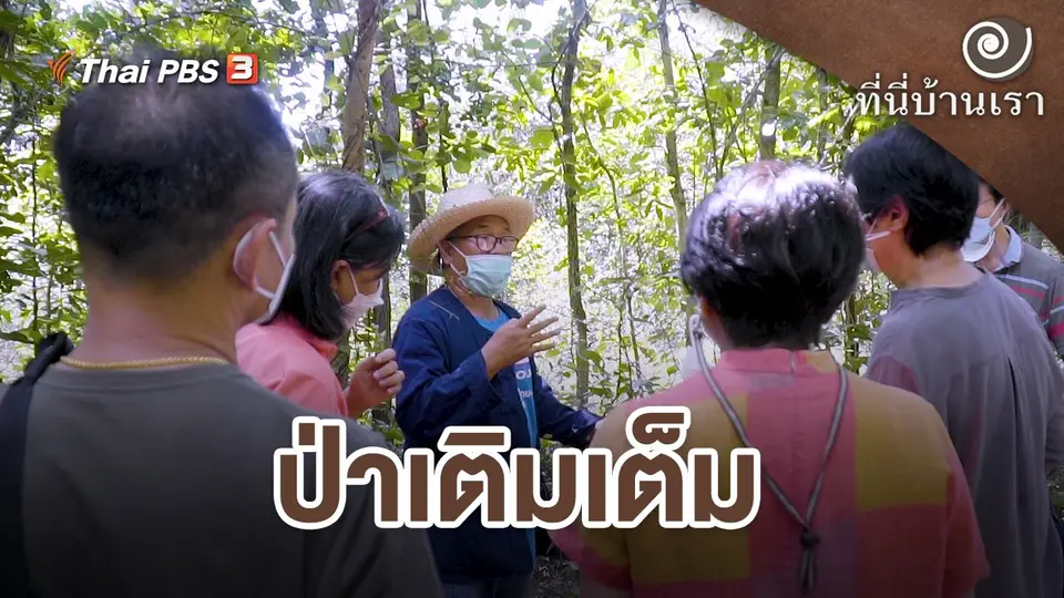 ป่าเติมเต็ม