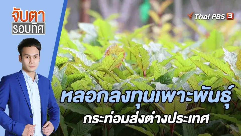 จับตารอบทิศ