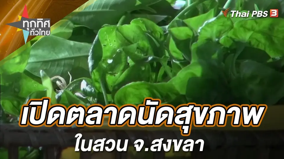ทุกทิศทั่วไทย