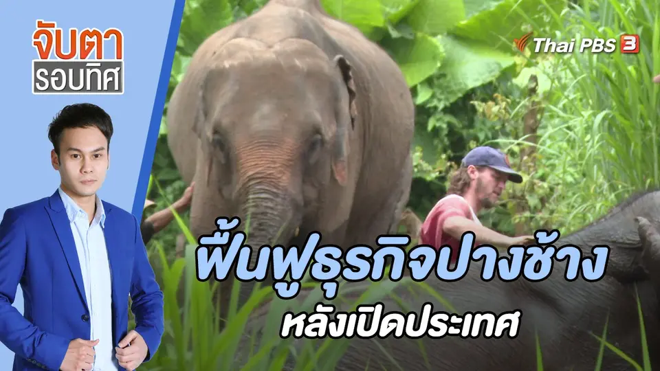 จับตารอบทิศ