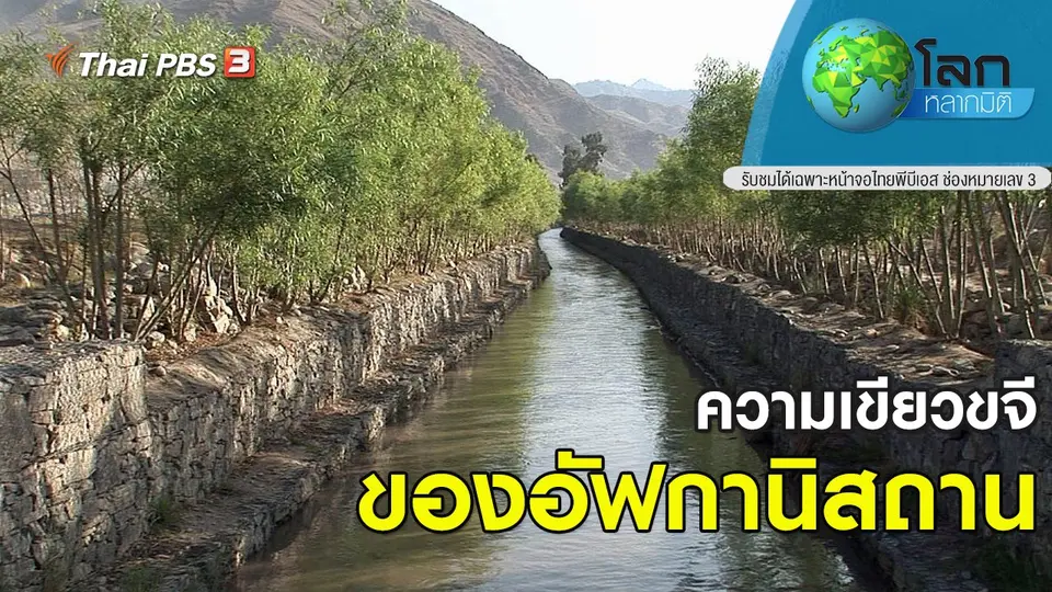 โลกหลากมิติ