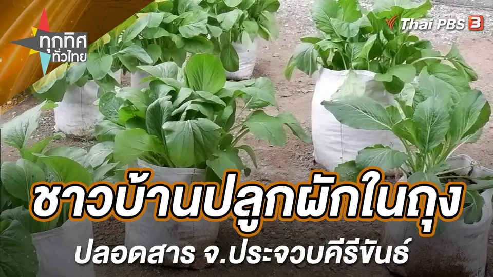 ทุกทิศทั่วไทย