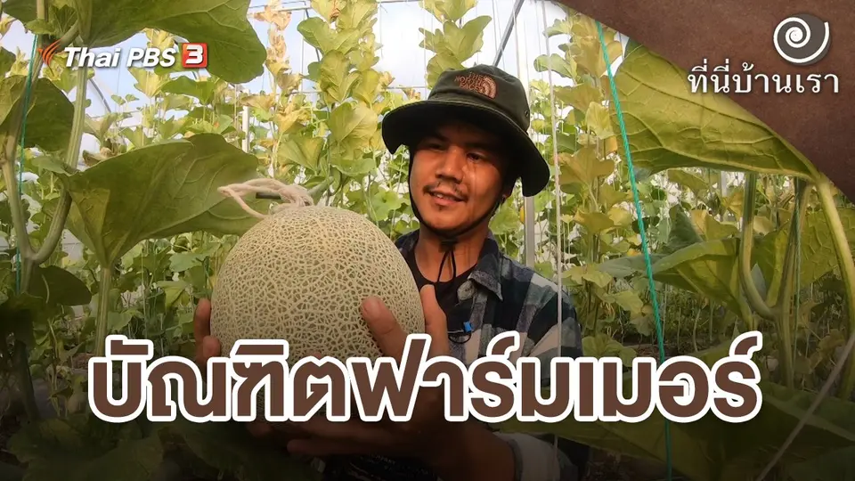 บัณฑิตฟาร์มเมอร์