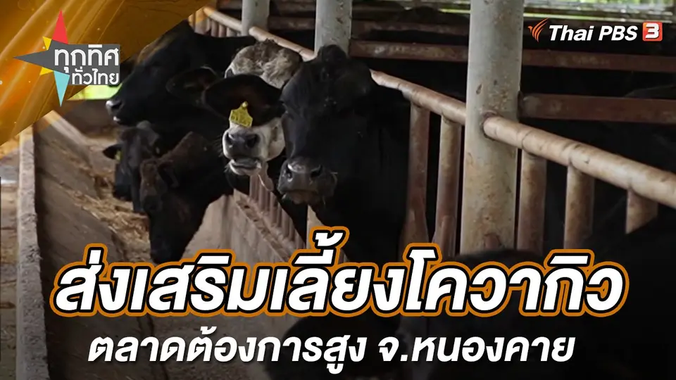 ทุกทิศทั่วไทย