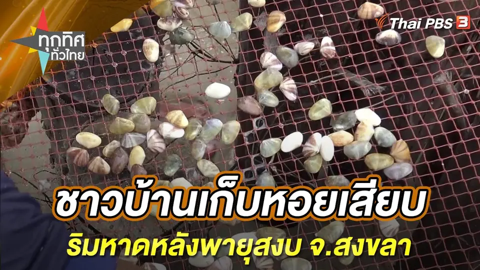 ทุกทิศทั่วไทย
