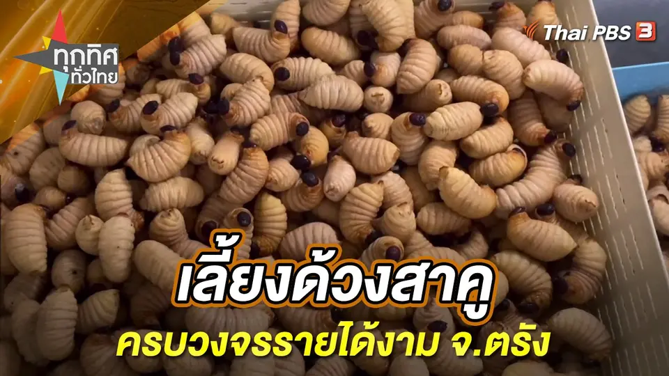 ทุกทิศทั่วไทย