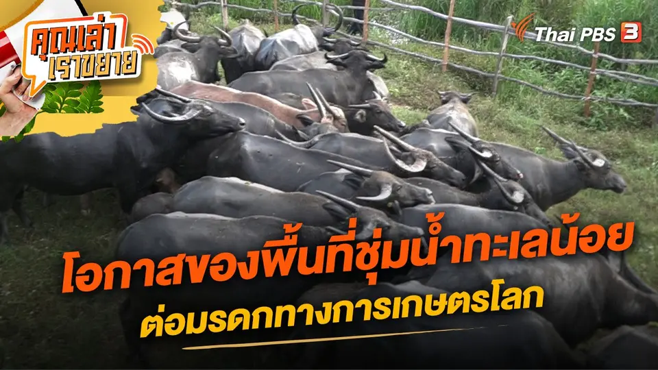 โอกาสของพื้นที่ชุ่มน้ำทะเลน้อยต่อมรดกทางการเกษตรโลก