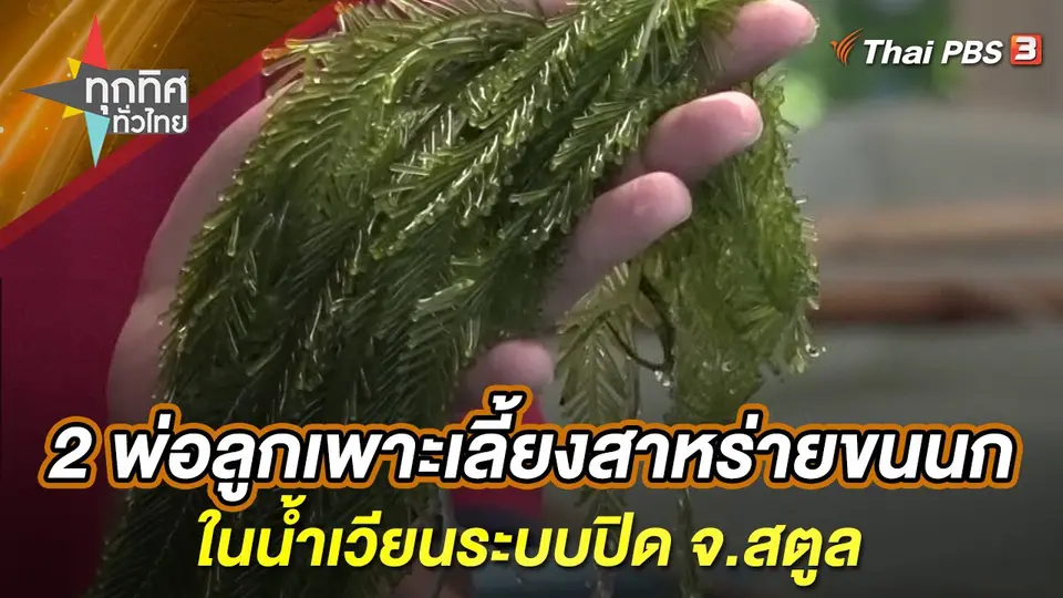 ทุกทิศทั่วไทย
