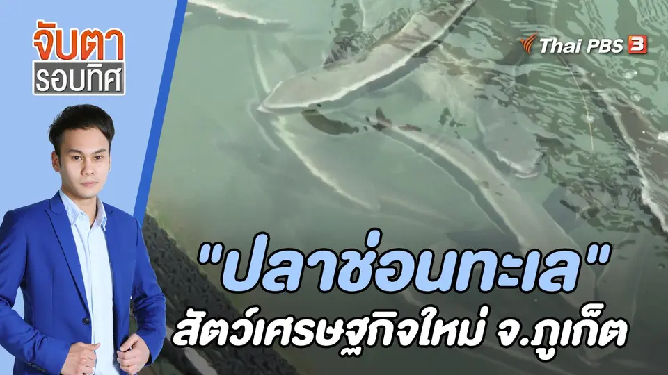 จับตารอบทิศ