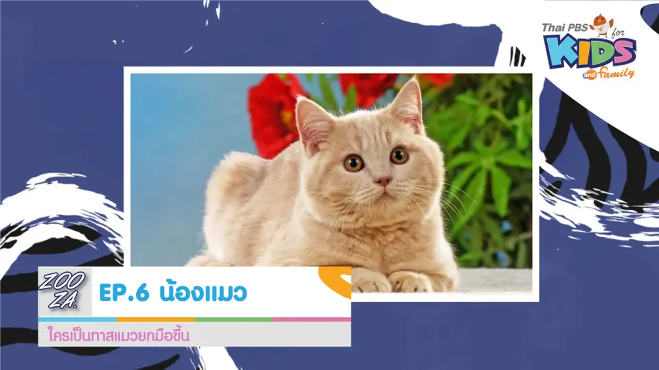 น้องแมว