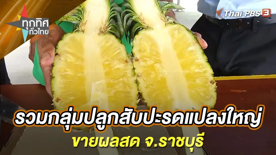 ทุกทิศทั่วไทย
