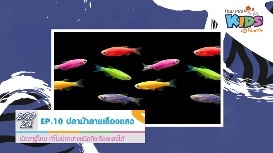 ปลาม้าลายเรืองแสง