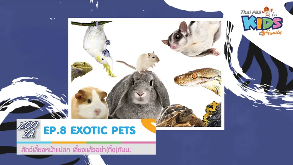 EXOTIC PETS