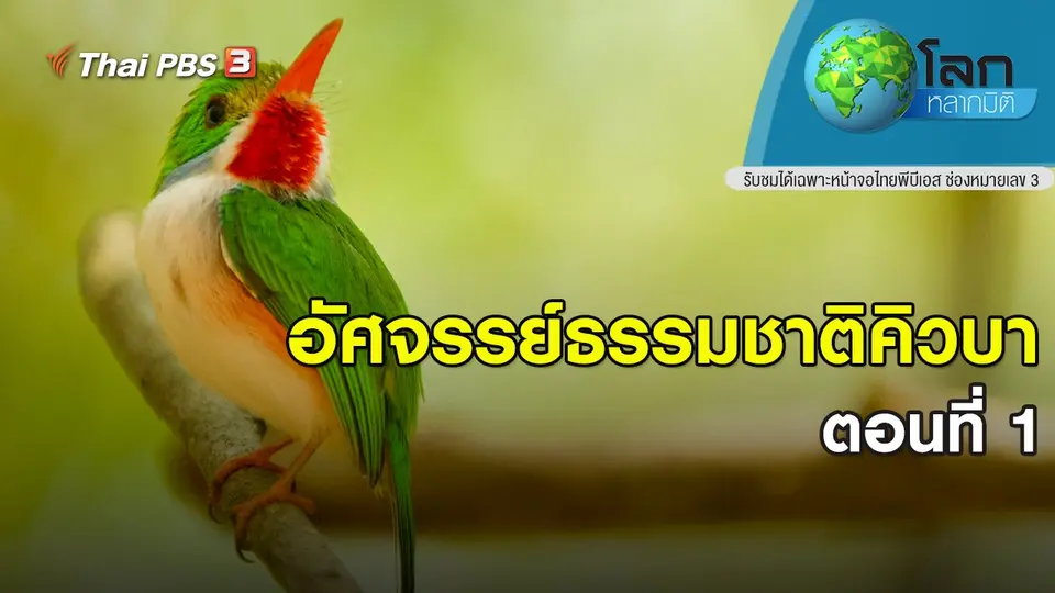 โลกหลากมิติ