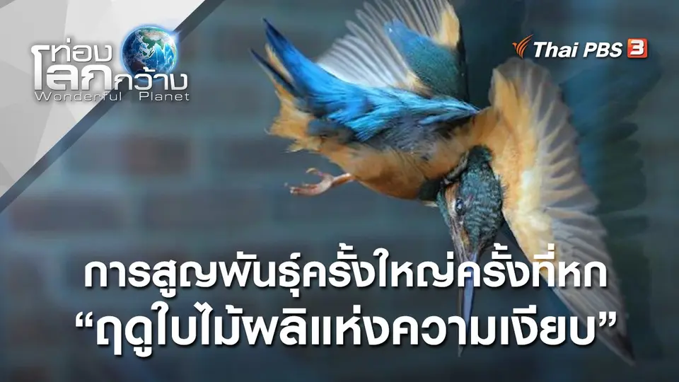 ท่องโลกกว้าง