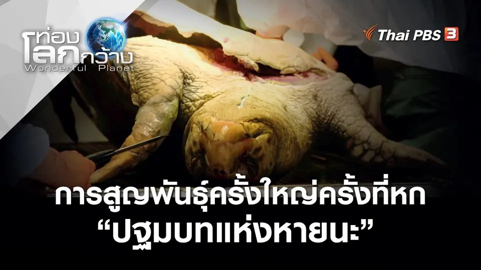 ท่องโลกกว้าง